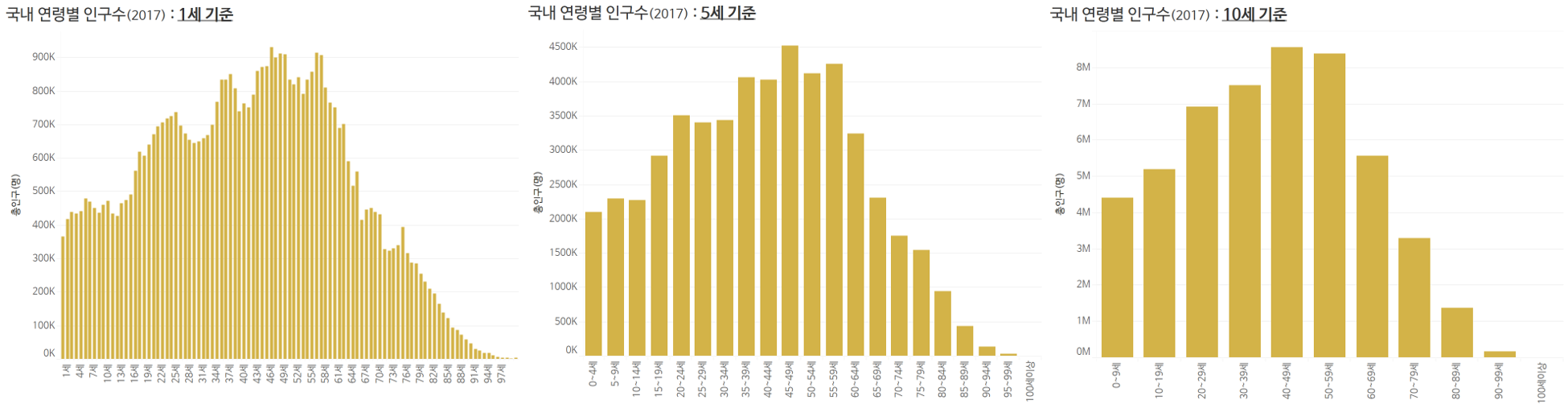 2017년 국내 인구수 : 연령별 분포(1세, 5세, 10세 기준별)