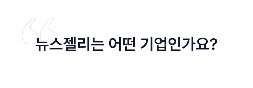 뉴스젤리, 리브랜딩, 데이터시각화