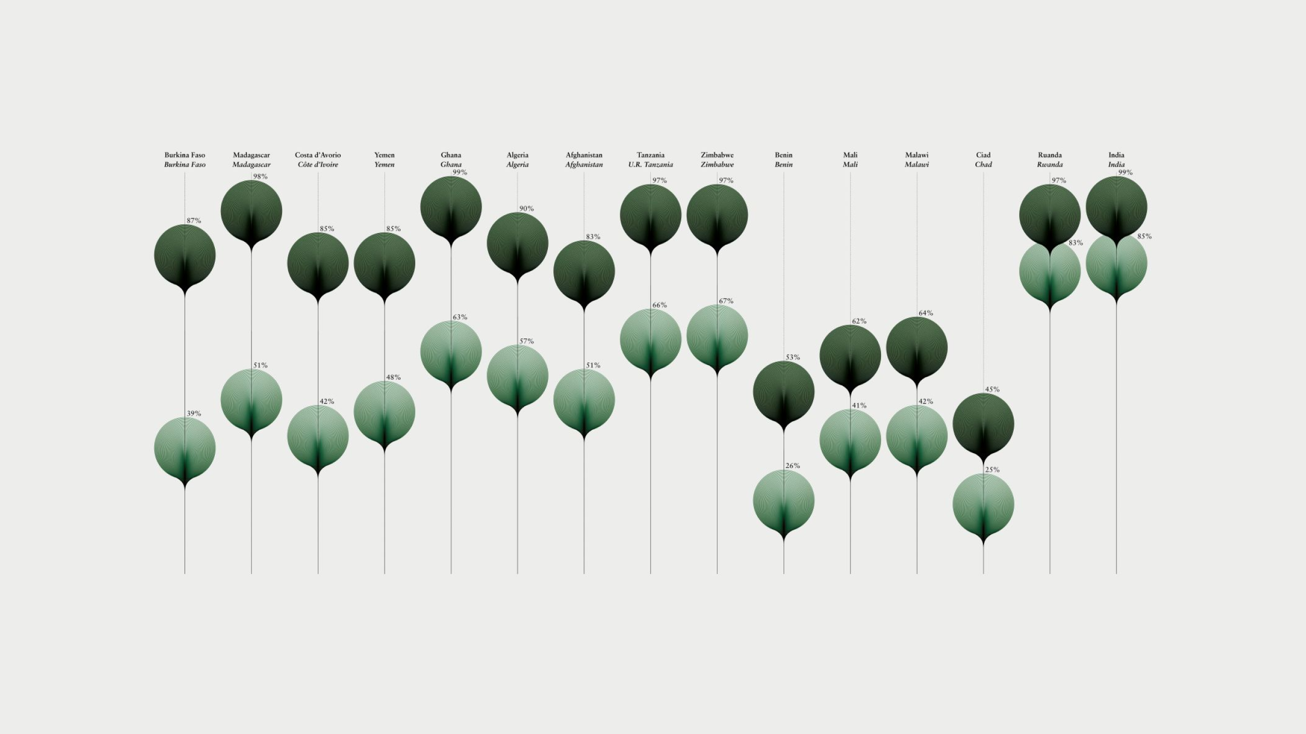 나라별 교육 격차를 잎사귀 모양으로 표현한다면?